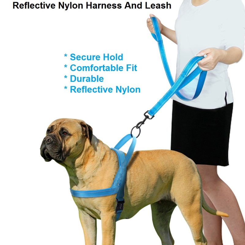 2-in-1 Reflective Nylon Harness And Leash - Image 3