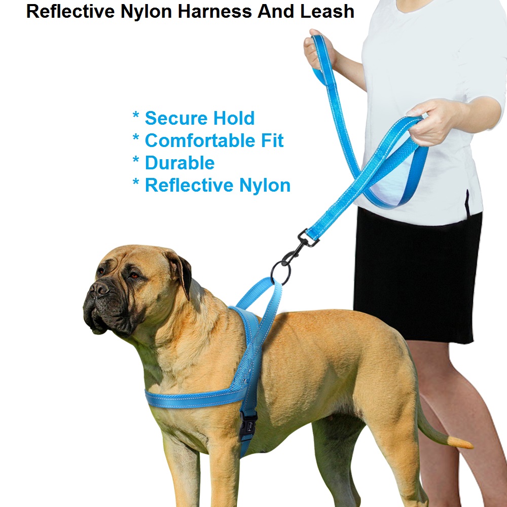 2-in-1 Reflective Nylon Harness And Leash - Image 3