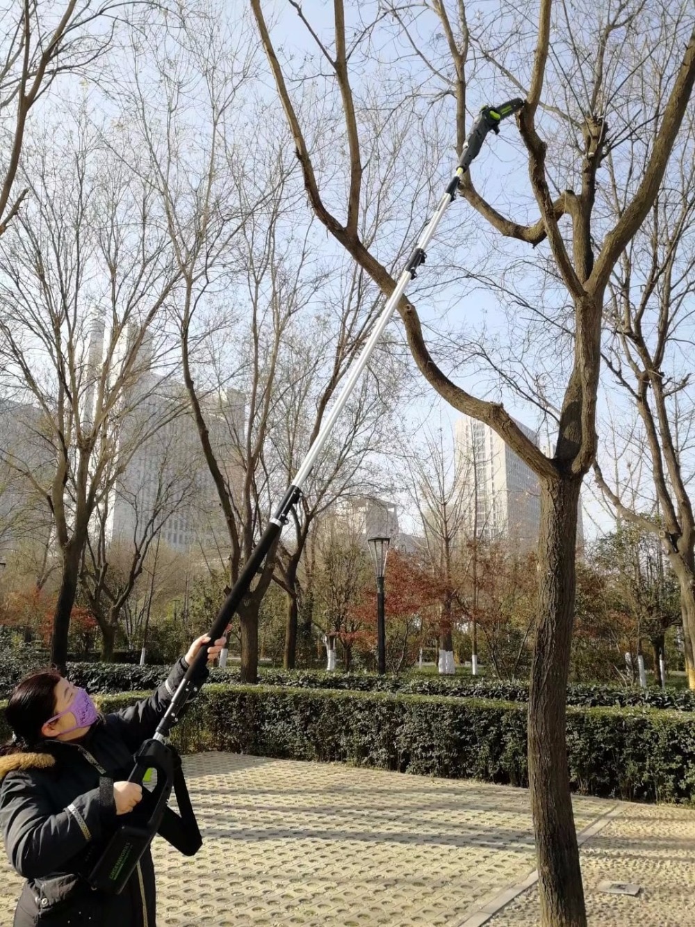 Cordless Pole Saw Extendable Tool - Image 2