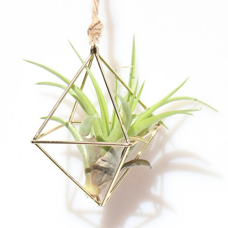 Air Plant Hanger Geometric Holder - Image 3