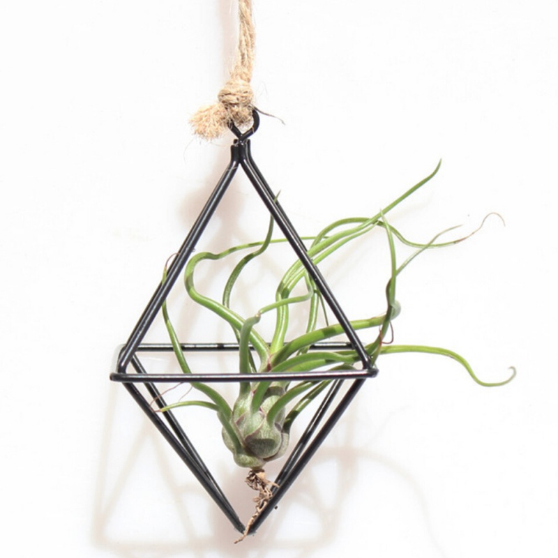 Air Plant Hanger Geometric Holder - Image 5