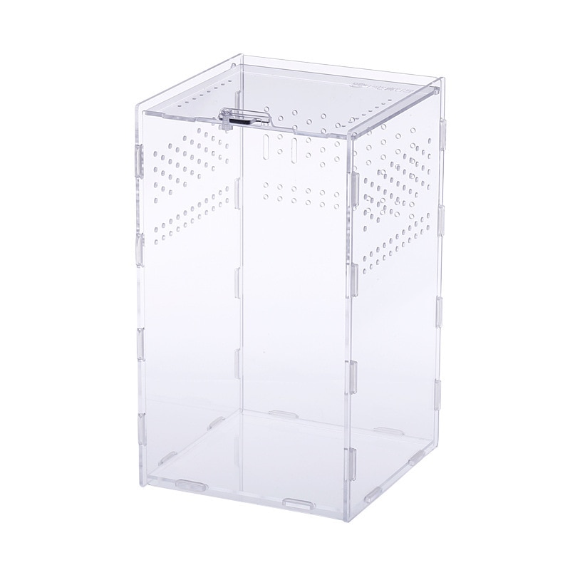 Acrylic Tarantula Enclosure Pet Box - Image 3