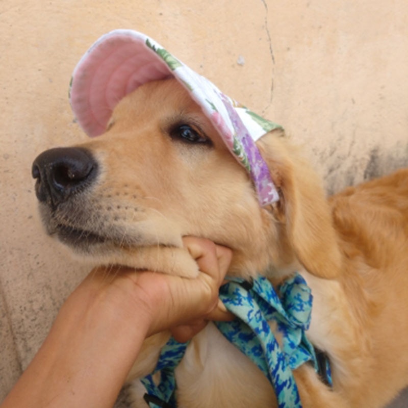 Dog Baseball Cap Adjustable Pet Hat - Image 3