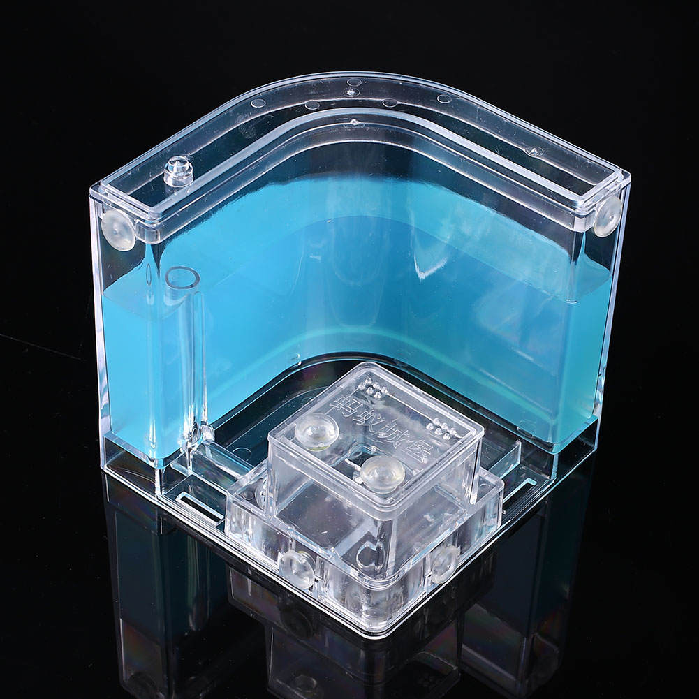 Ant Farms Gel Cage Box Kit - Image 4