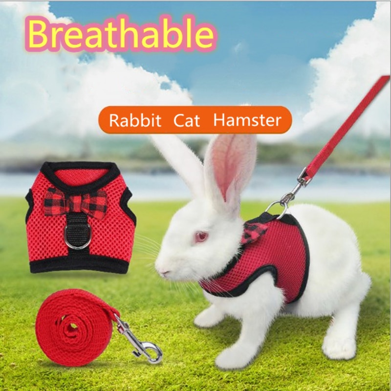 Bunny Harness Breathable Vest - Image 5