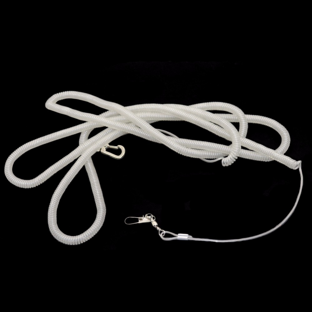Bird Leash Pet Training Rope - Image 5
