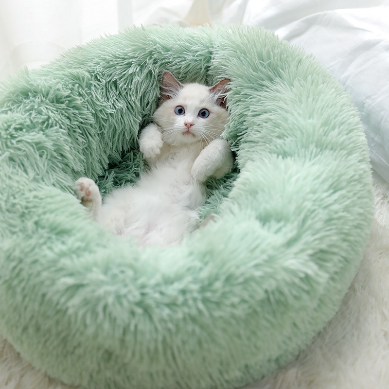 Cat Bean Bag Soft Sleeping Cushion - Image 6