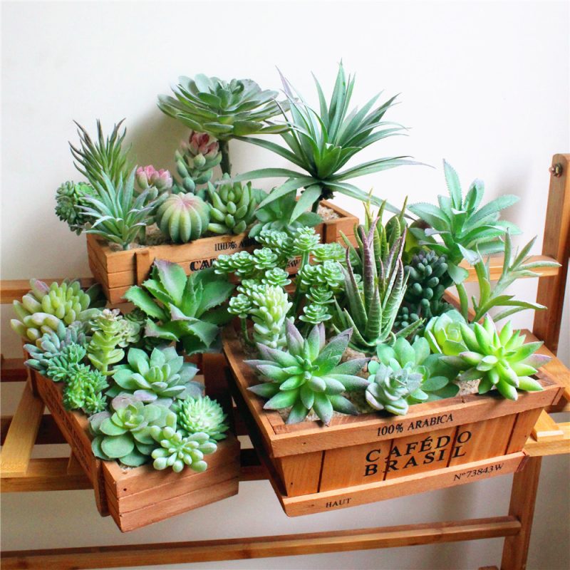 Artificial Succulents Fake Cactus Plants - Image 5
