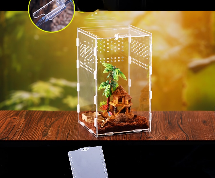 Acrylic Tarantula Enclosure Pet Box - Image 2