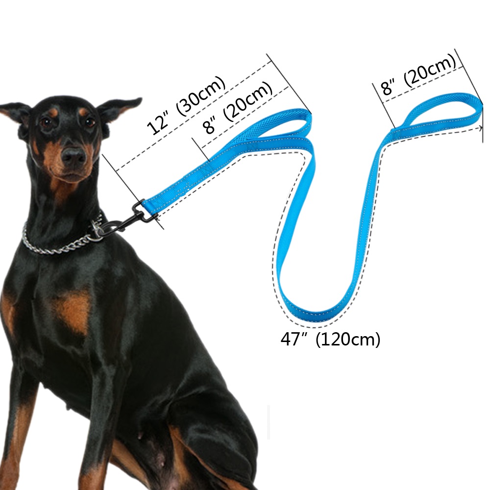 2-in-1 Reflective Nylon Harness And Leash