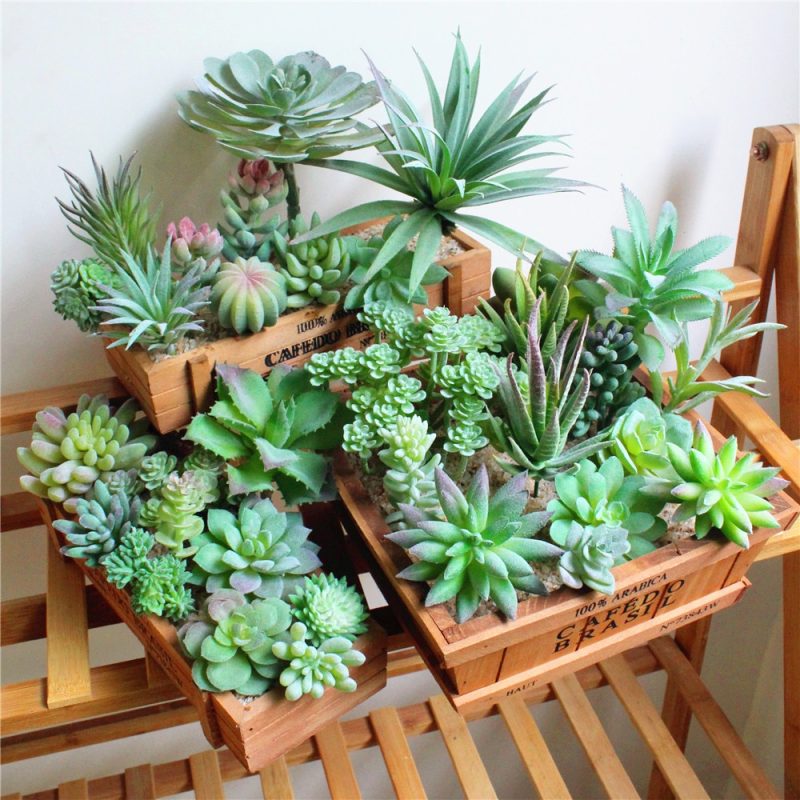 Artificial Succulents Fake Cactus Plants - Image 4