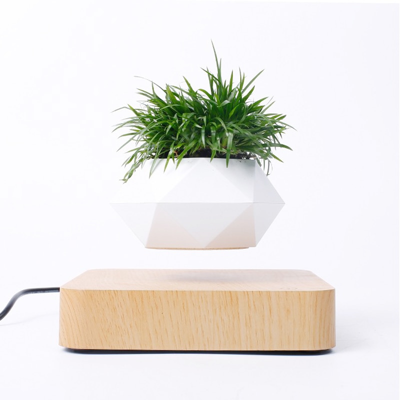 Floating Flower Pot Levitating Planter - Image 5