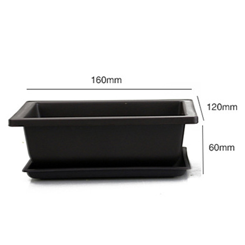 Bonsai Pot Plastic Plant Box