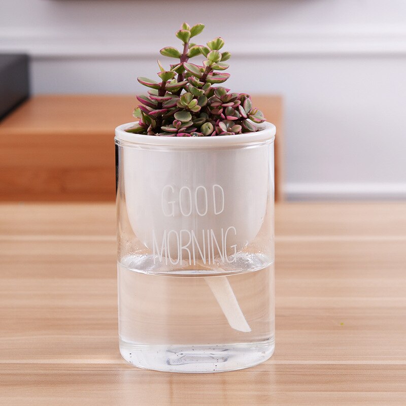 Ceramic Self Watering Pot - Image 4