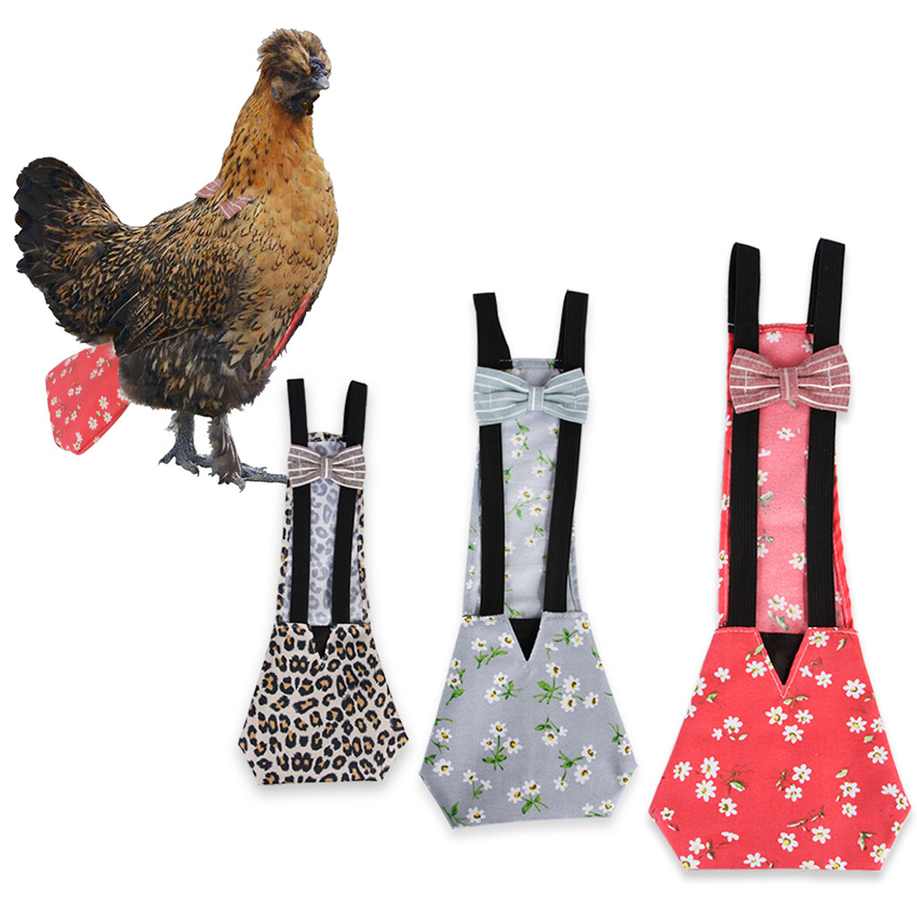 Chicken Diaper Adjustable Pet Clothing - Image 4