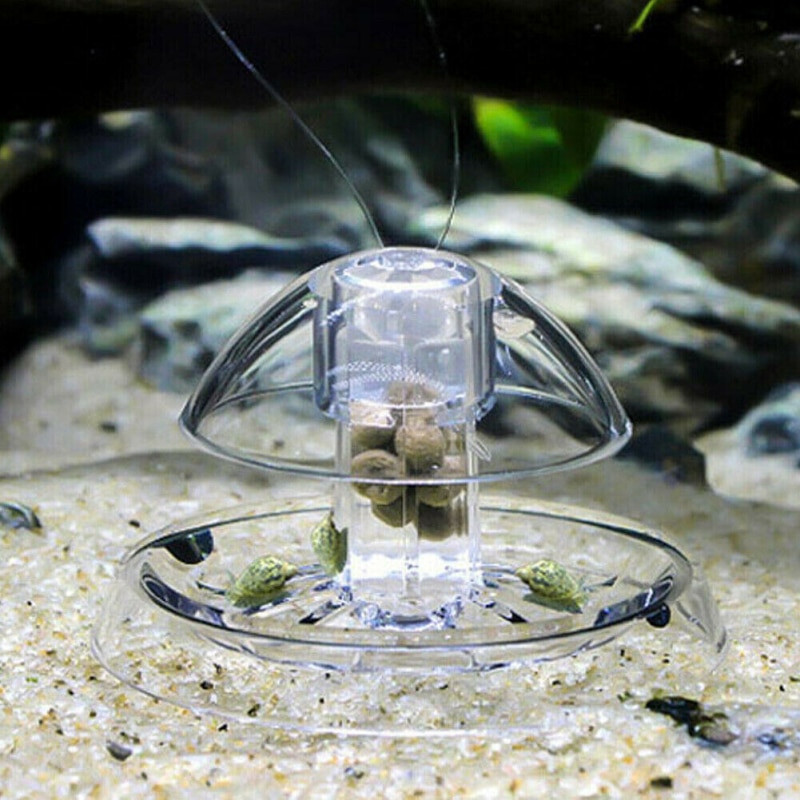 Aquarium Snail Trap Plastic Device - Image 2