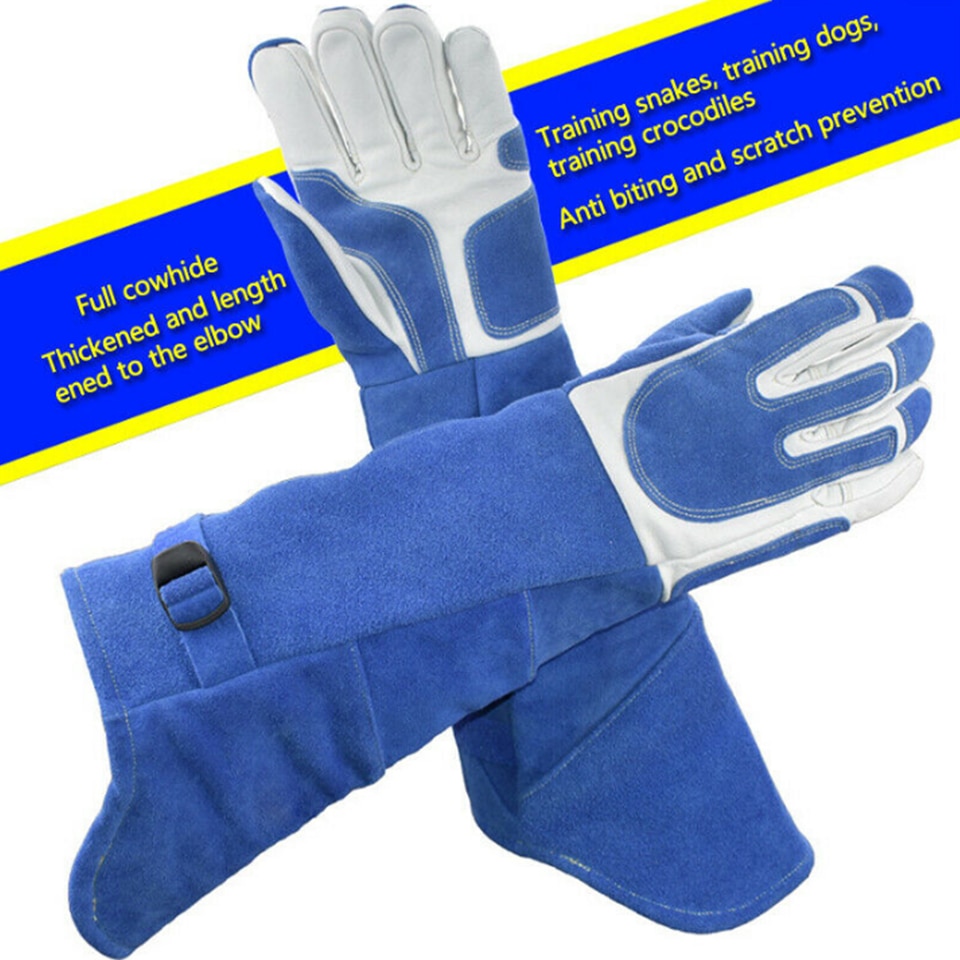 Bird Handling Gloves Training Supplies - Image 5