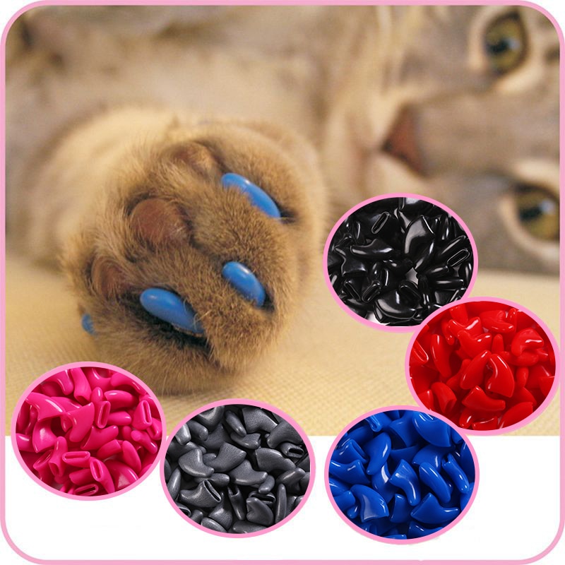 Cat Nail Caps Soft Rubber Covering (100 pcs) - Image 6