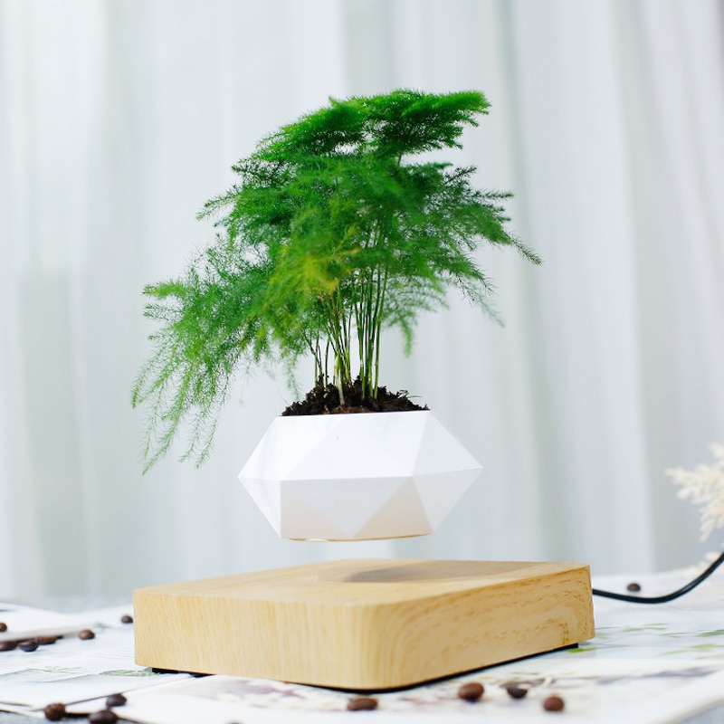 Floating Flower Pot Levitating Planter - Image 3