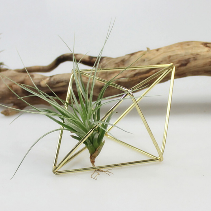 Air Plant Hanger Geometric Holder - Image 2