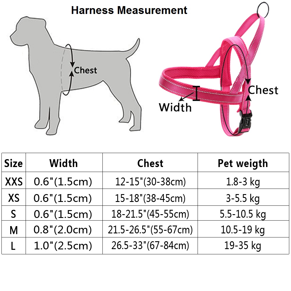 2-in-1 Reflective Nylon Harness And Leash - Image 2