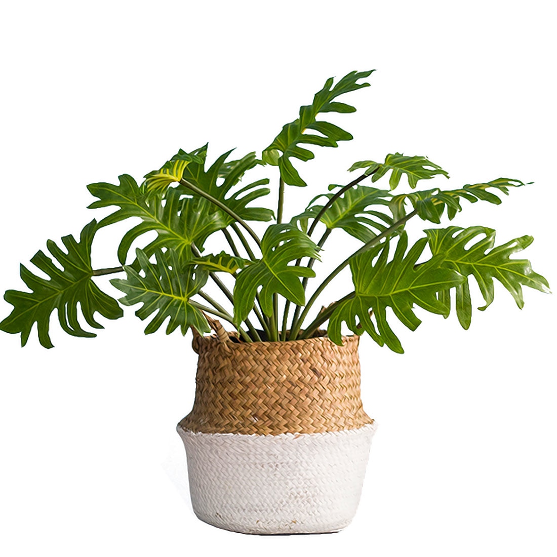 Faux Plants Artificial Leaves Decor - Image 2