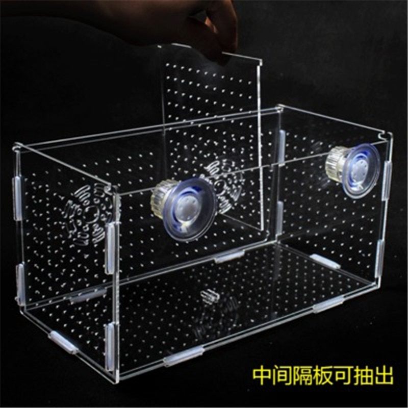 Breeding Box Fish Pet Supplies - Image 4