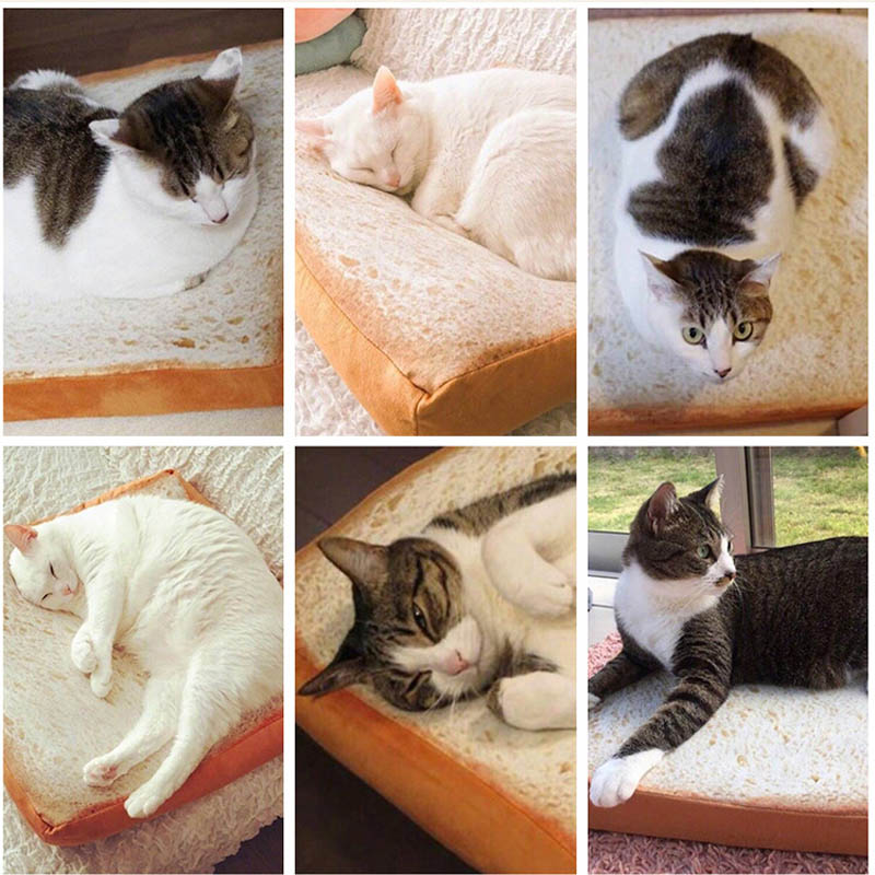 Bread Cat Bed Soft Pet Cushion - Image 5