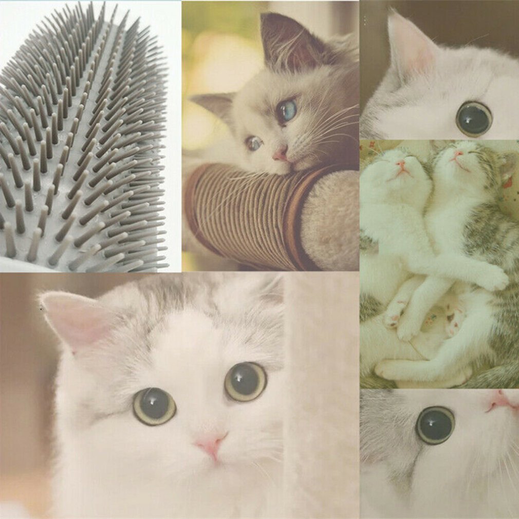 Cat Corner Brush Soft-Bristled Brush - Image 5