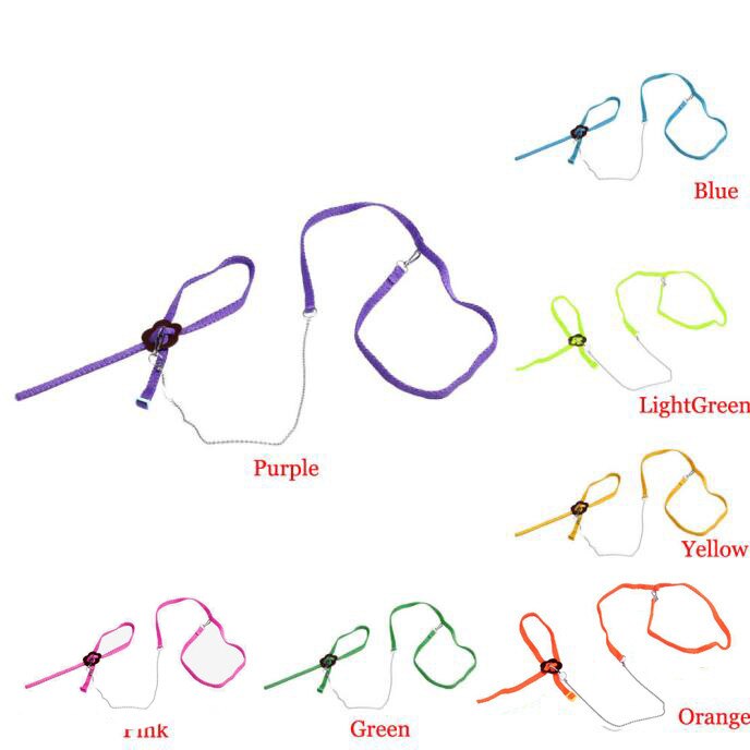 Bearded Dragon Harness Adjustable Leash - Image 4