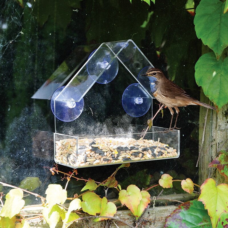 Clear Birdhouse Window Shelter Feeder - Image 3