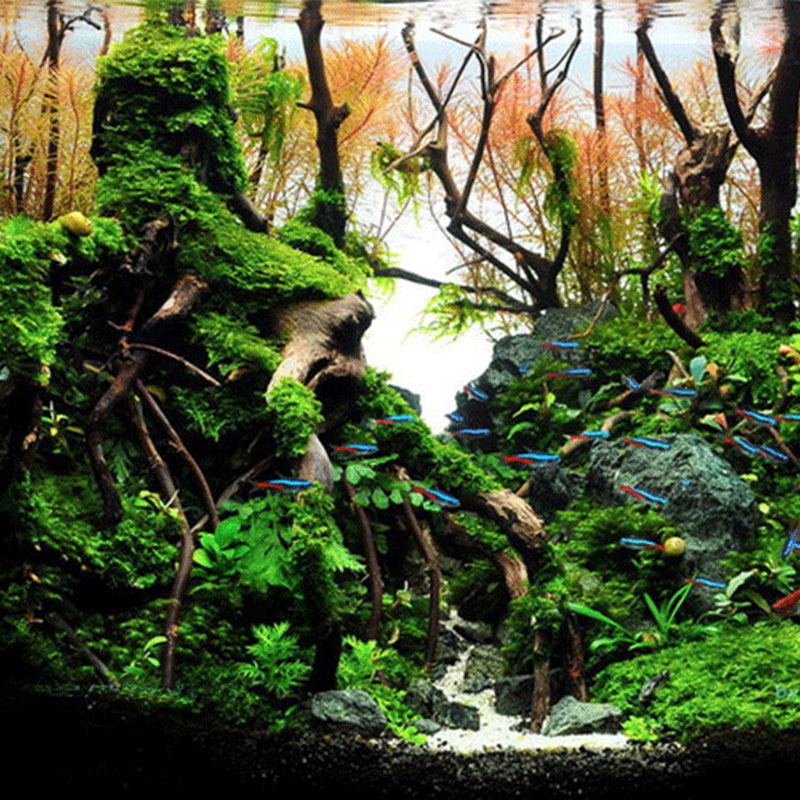 Aquarium Driftwood Fish Tank Decorative - Image 4