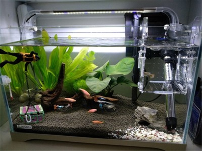 Breeding Box Fish Pet Supplies - Image 3