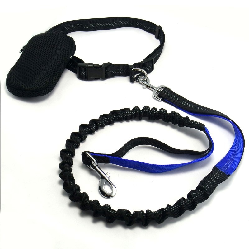 Dog Running Leash Elastic Rope - Image 5