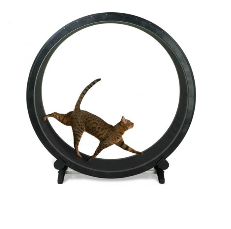 Cat Treadmill Pet Accessory - Image 6