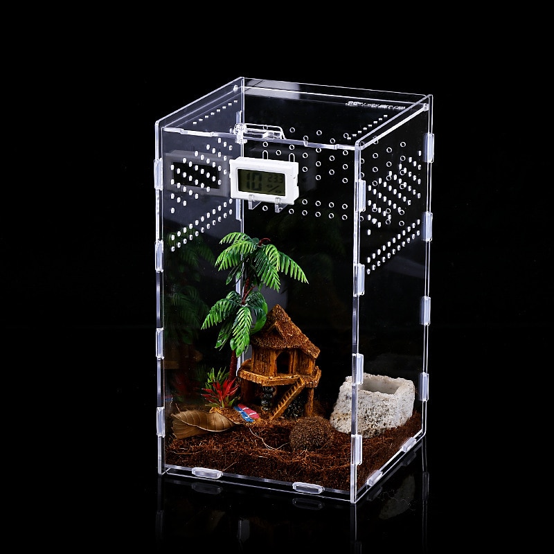 Acrylic Tarantula Enclosure Pet Box - Image 5