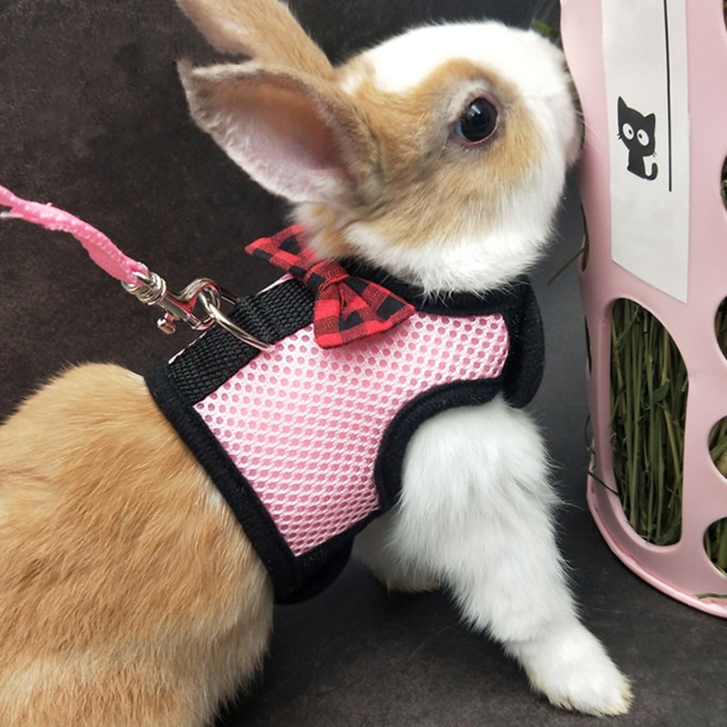 Bunny Harness Breathable Vest - Image 4