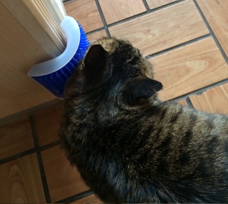 Cat Massage Comb Self Groomer Pet Brush - Image 2