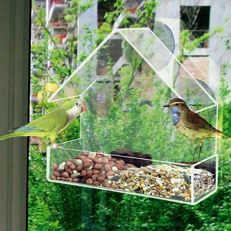 Clear Birdhouse Window Shelter Feeder - Image 6
