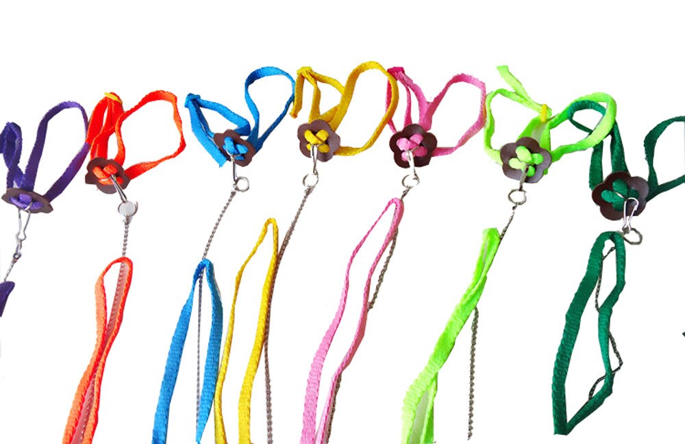 Bearded Dragon Harness Adjustable Leash - Image 5
