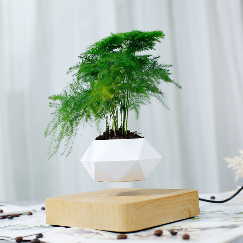 Floating Flower Pot Levitating Planter - Image 2