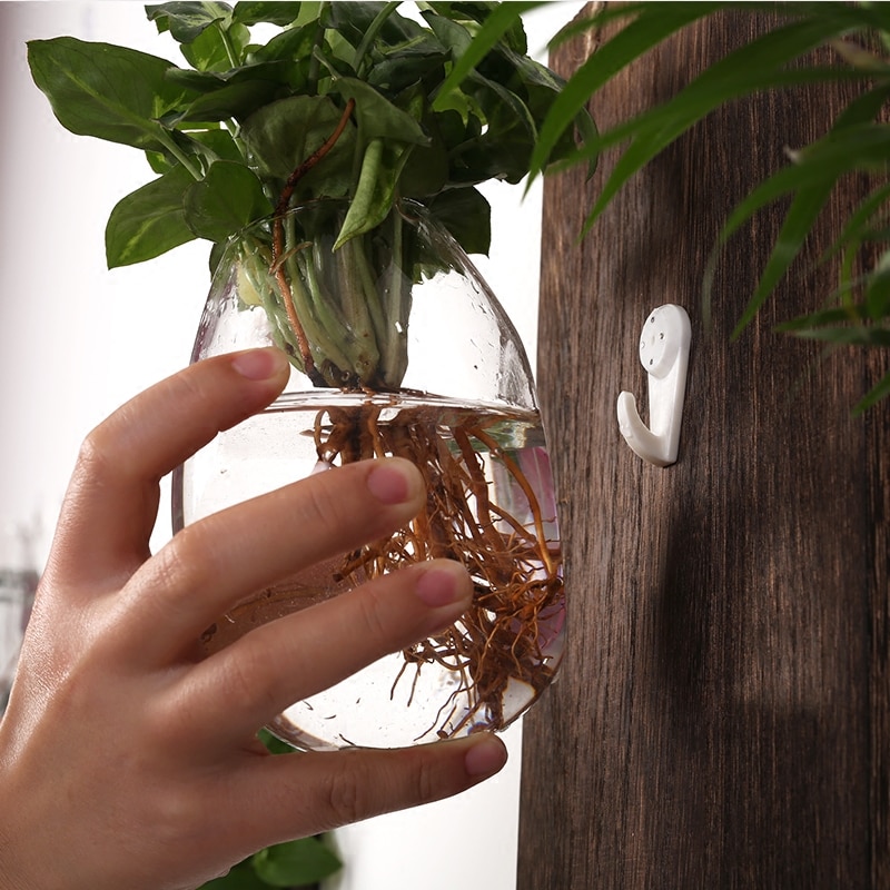 Glass Plant Pots Wall Vase - Image 3