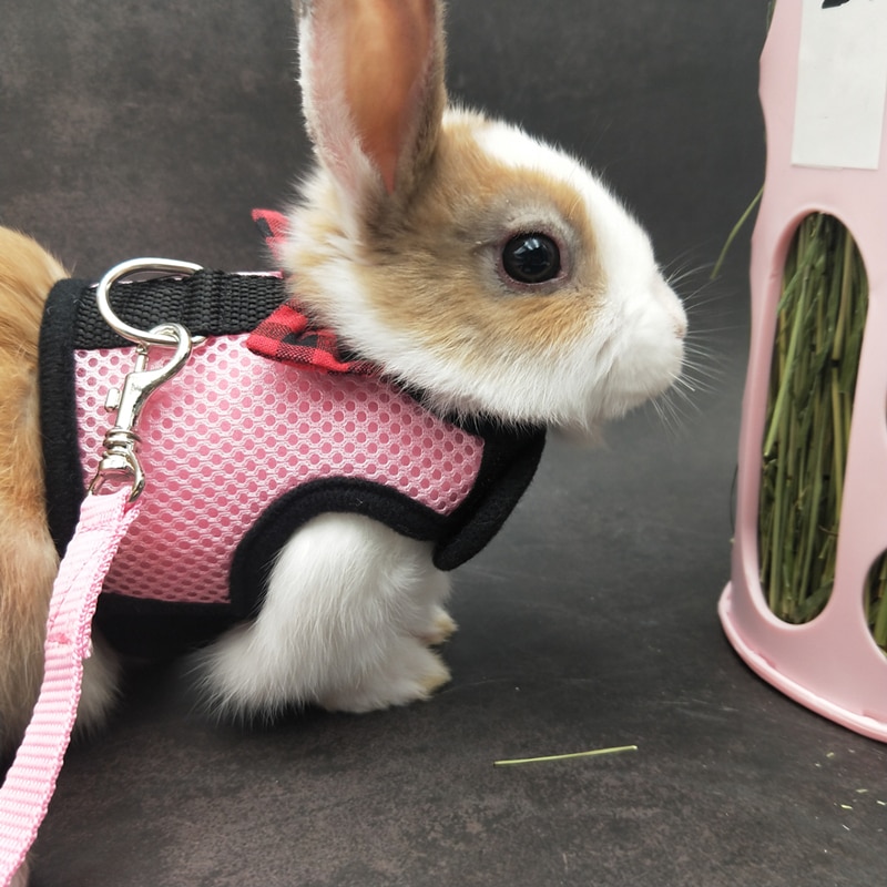 Bunny Harness Breathable Vest - Image 2