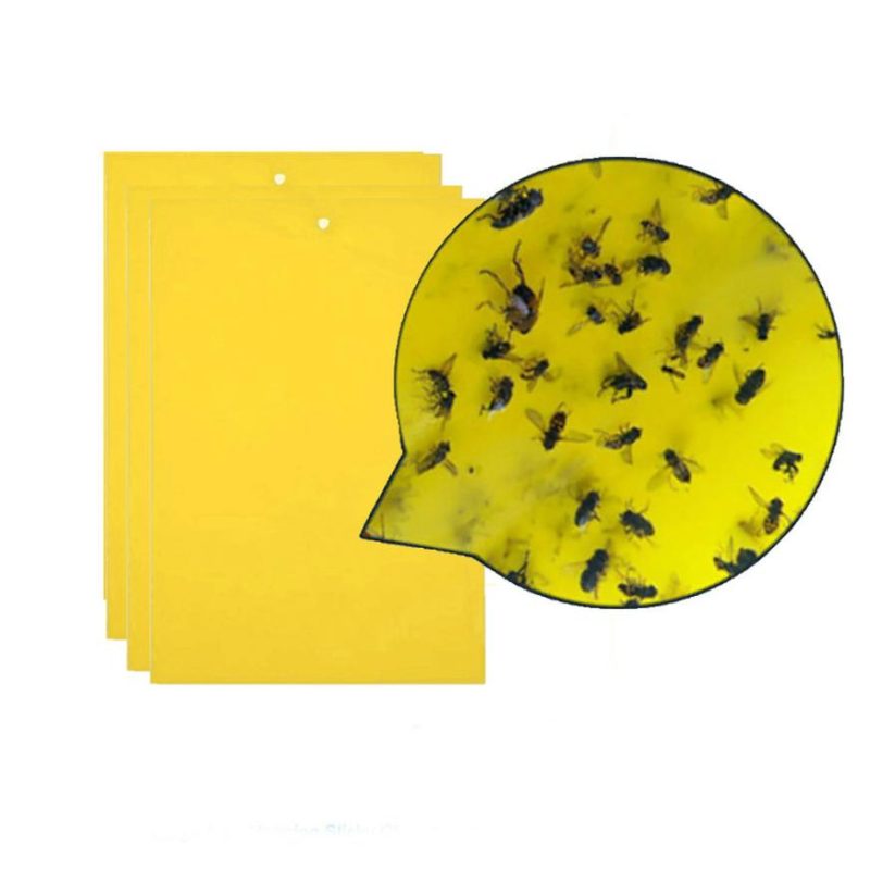 Ant Killer Sticky Board - Image 4