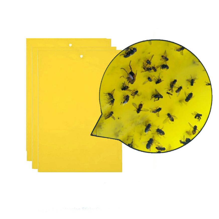 Ant Killer Sticky Board - Image 4