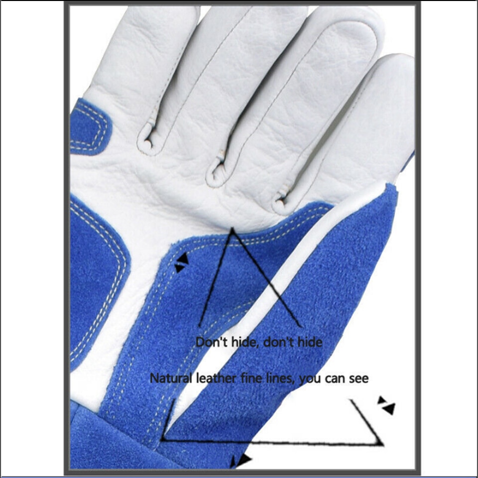 Bird Handling Gloves Training Supplies - Image 3