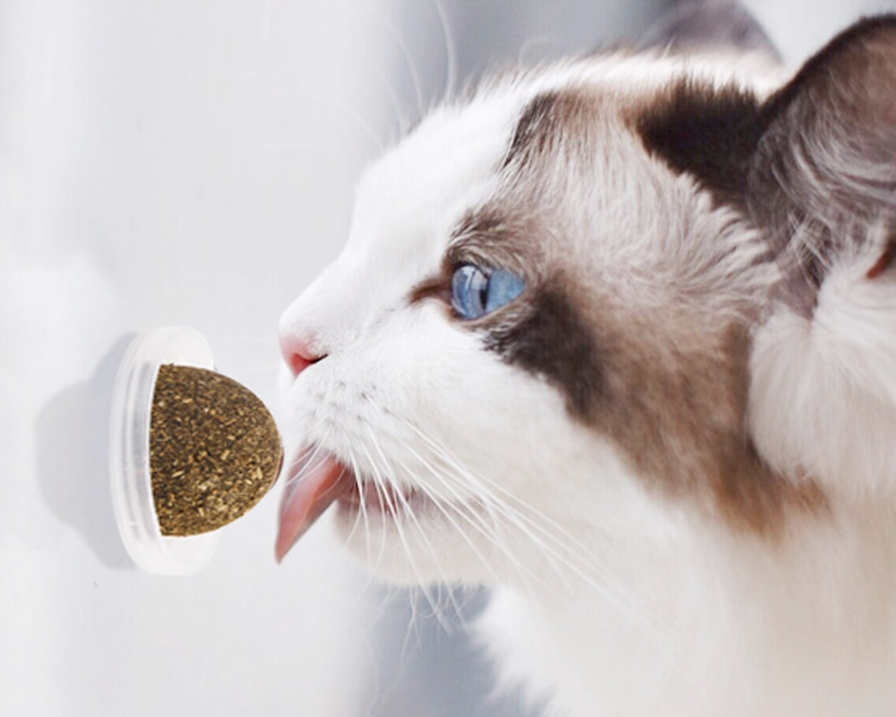 Cat Treat Healthy Catnip Balls - Image 5