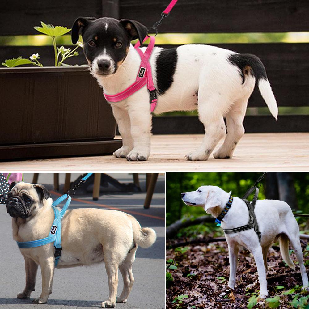 2-in-1 Reflective Nylon Harness And Leash - Image 4