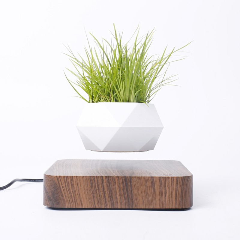 Floating Flower Pot Levitating Planter - Image 6
