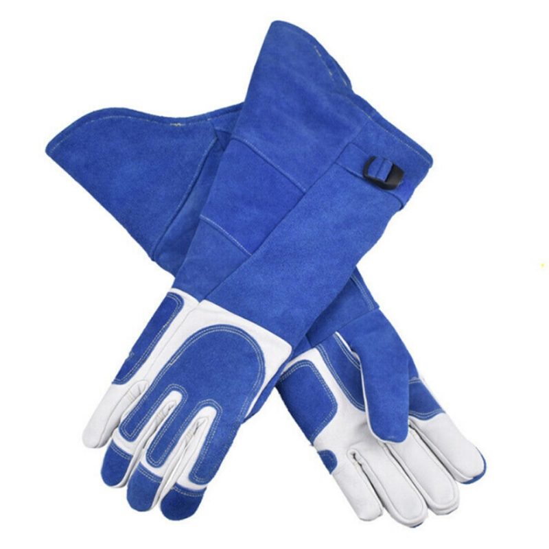 Bird Handling Gloves Training Supplies - Image 6